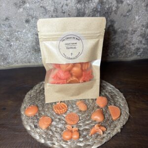 Fondants parfumés - Tropical - Salade de Fruit -